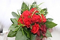 007-IMG_0792