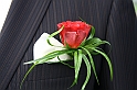 008-IMG_0848