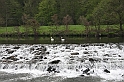 042-IMG_0930