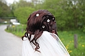 048-IMG_0982