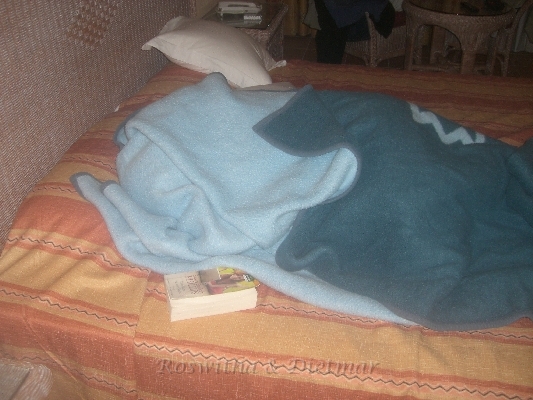 CIMG7518.JPG - mit Kuscheldecke beim lesen