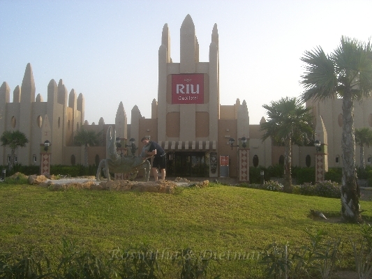 2 CIMG7031.JPG - RIU Garopa - Garopa heisst Rotbarsch