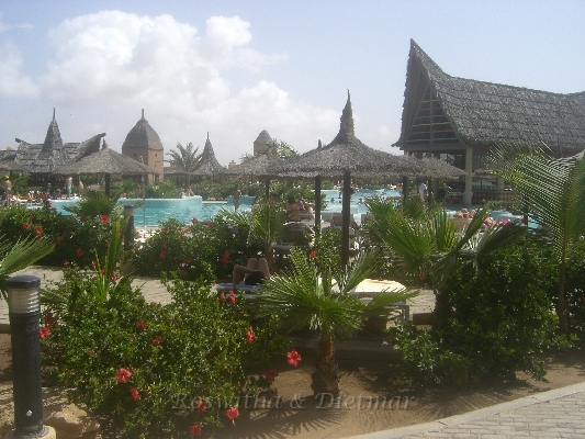 20 CIMG7021.JPG - die gruene Oase - Pool-Landschaft