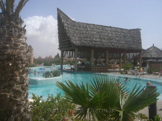 21 CIMG7022.JPG - die Pool-Bar