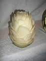 5 CIMG7065