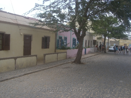 CIMG7127.JPG