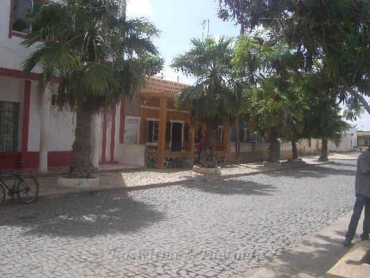 CIMG7128.JPG