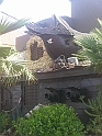 CIMG7093