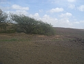 CIMG7119