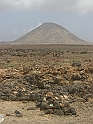 CIMG7154