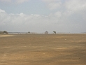 CIMG7170