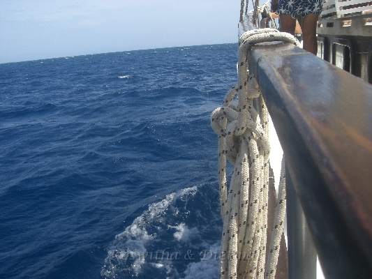 CIMG7438.JPG