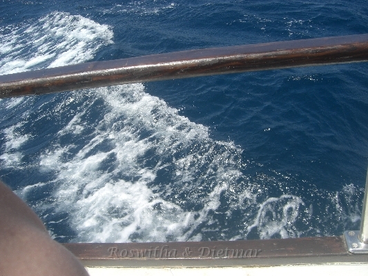 CIMG7442.JPG