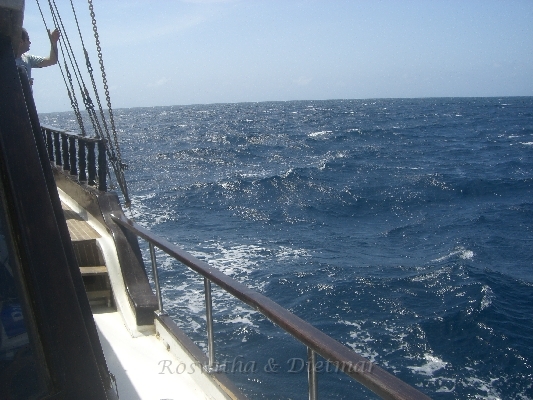CIMG7443.JPG