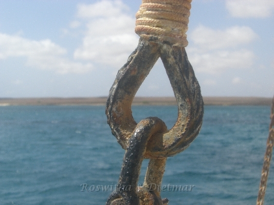 CIMG7455.JPG