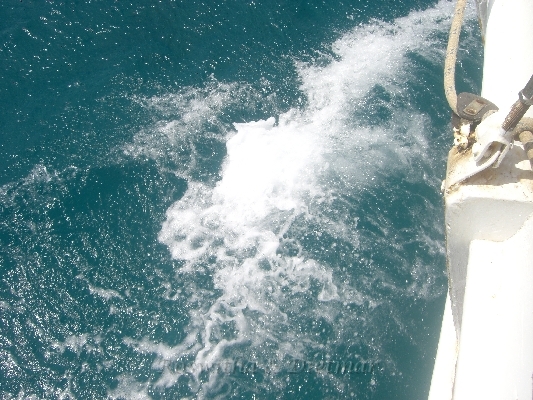 CIMG7456.JPG