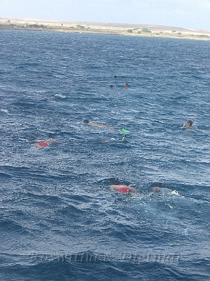 CIMG7457.JPG - Schnorcheln im Meer