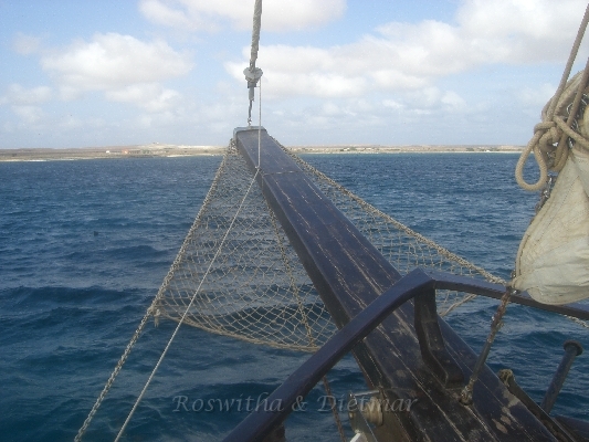CIMG7466.JPG