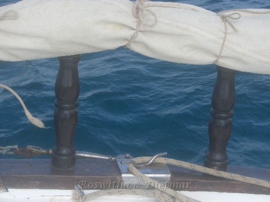 CIMG7467.JPG