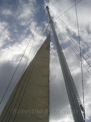 CIMG7472.JPG