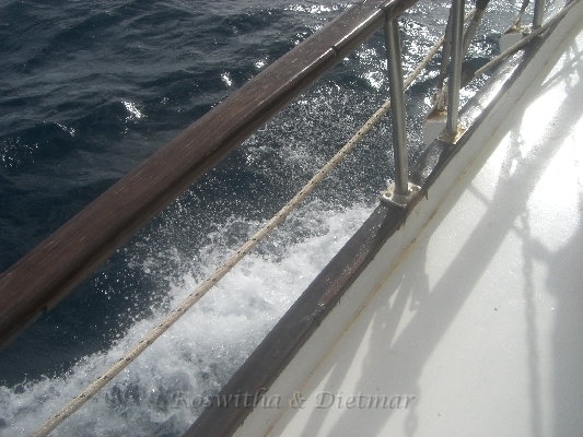 CIMG7487.JPG