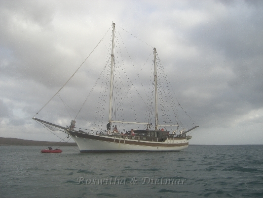 CIMG7501.JPG - volle breitseite - das Segelschiff