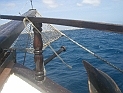 CIMG7449
