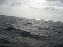 CIMG7493