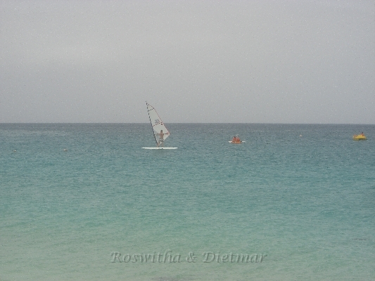 CIMG7248.JPG - Surfer