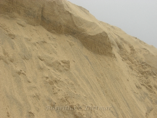 CIMG7298.JPG - Sandduene