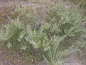 CIMG7380