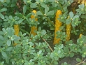 13 CIMG7521