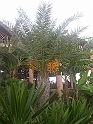 15 CIMG7223