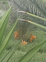 16 CIMG7222