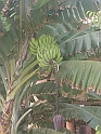 19 CIMG7224