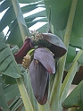 20 CIMG7226