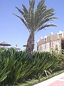 23 CIMG7186
