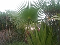 24 CIMG7381