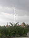 7 CIMG7220