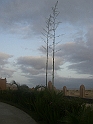 8 CIMG7382