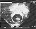 001_10-09-08