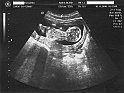 006_10-11-08