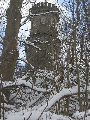 CIMG8048.JPG