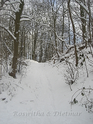 CIMG8050.JPG