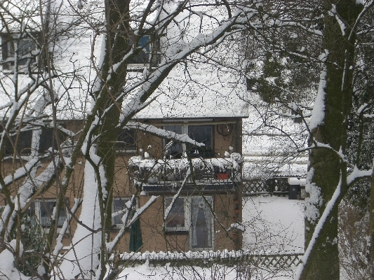 CIMG8051.JPG